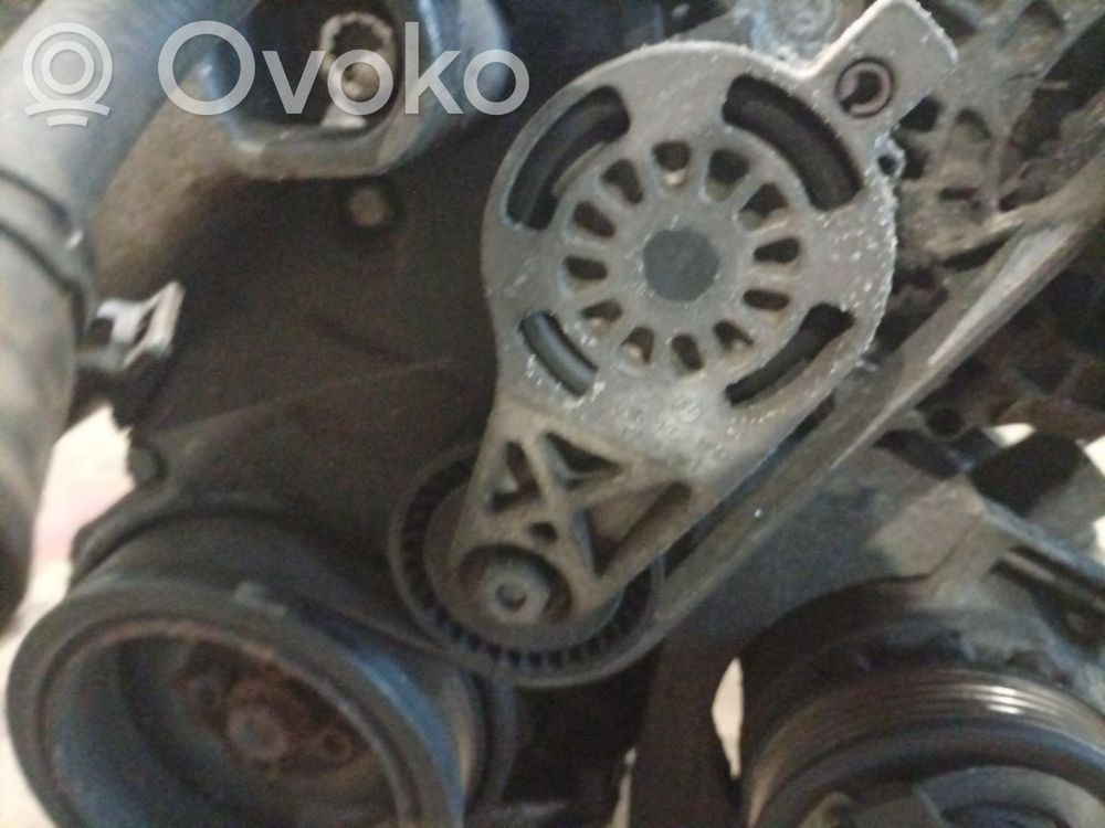 Skoda Octavia Mk2 (1Z) Tendicinghia generatore/alternatore