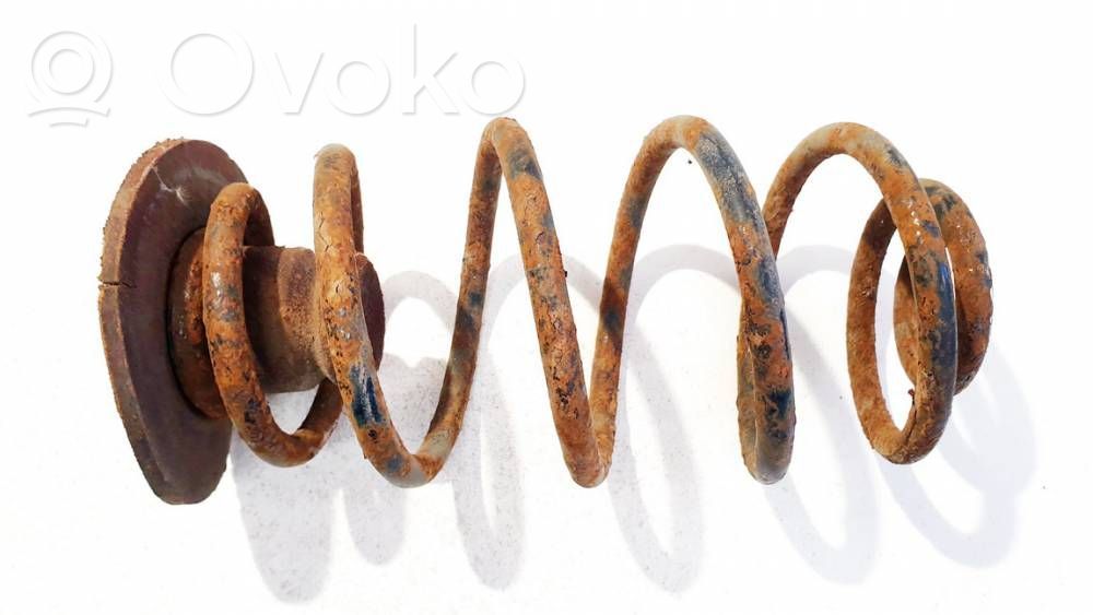 Muelle espiral trasero