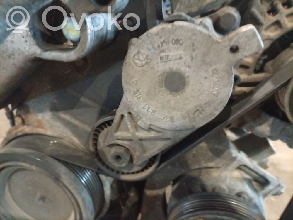 Skoda Octavia Mk2 (1Z) Tendicinghia generatore/alternatore 