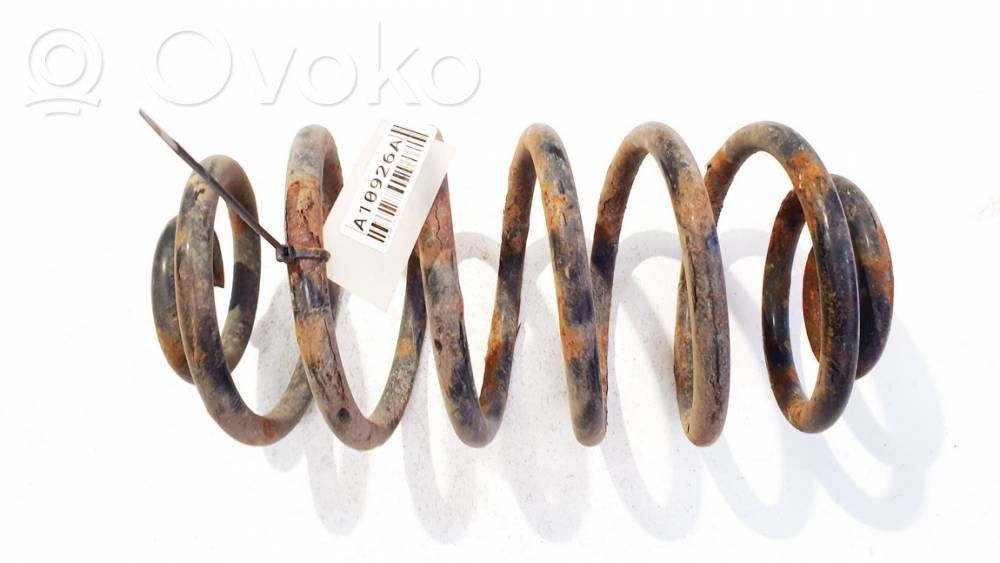 Muelle espiral trasero