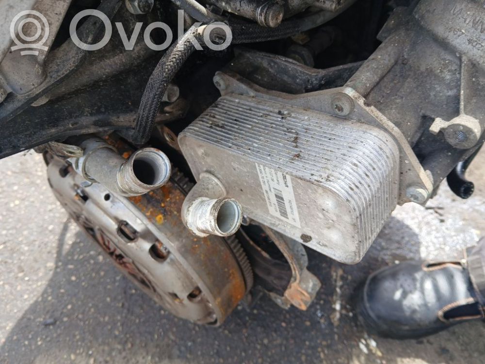 Radiator ulei motor   H2745003,5989070291,897385813,H2745003