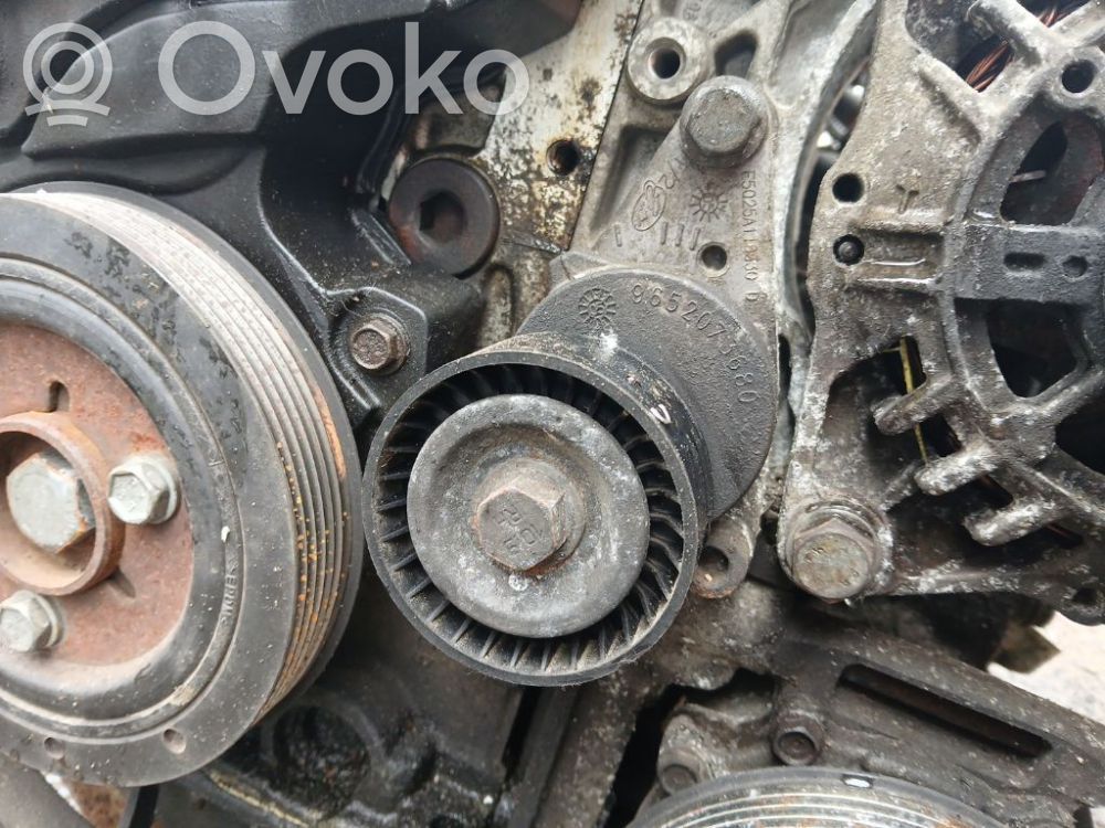 Peugeot 307 Tendicinghia generatore/alternatore 