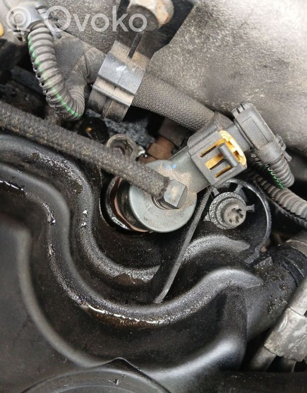 Injector combustibil   0445110165,0445110165,0445110165