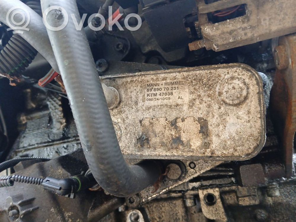 Radiator ulei motor   5989070231,5989070231,KTM47038