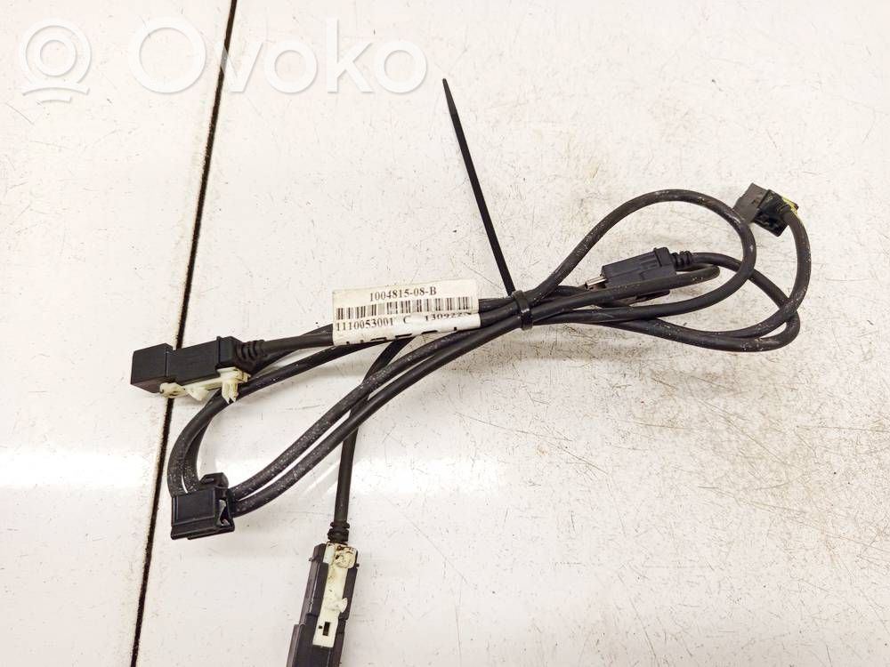 Otros cableados   100481508B,100481508B