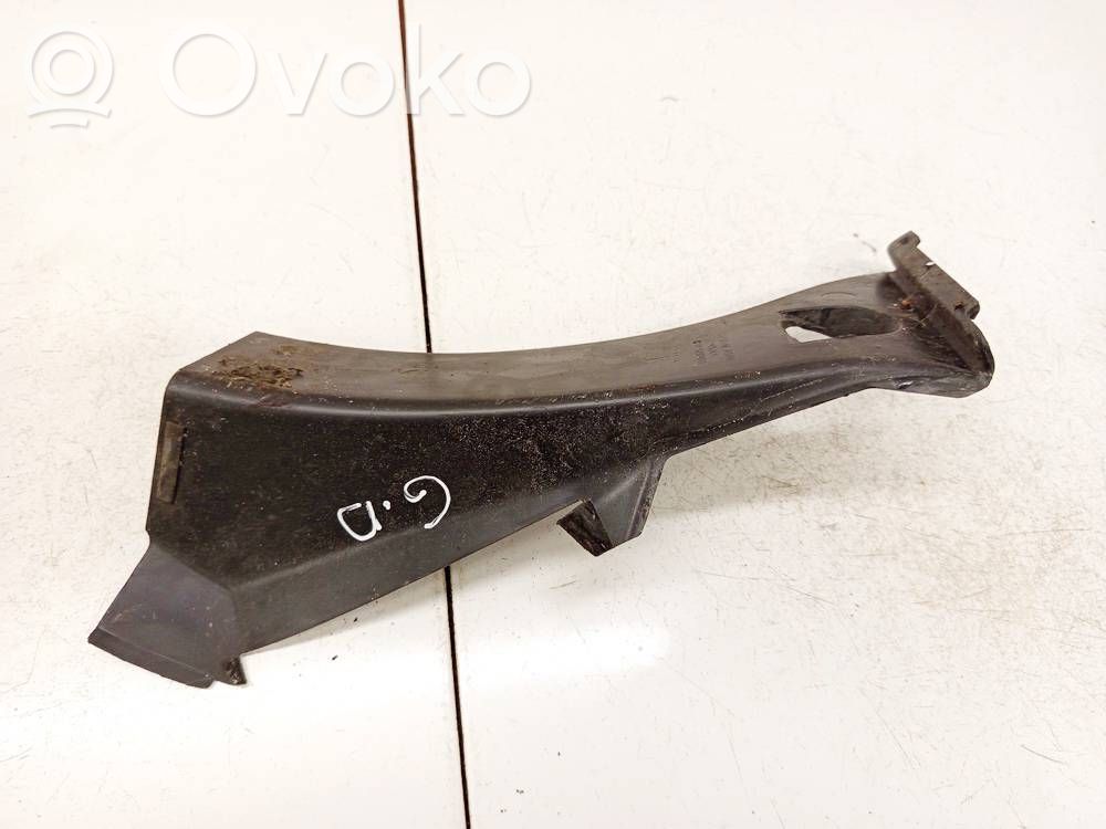 Other trunk/boot trim element   100667500D,100667500D