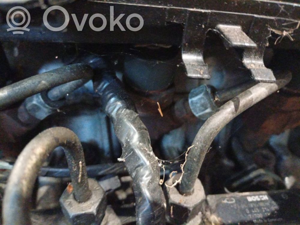 Inyector de combustible   0445110110,0445110110,0445110110