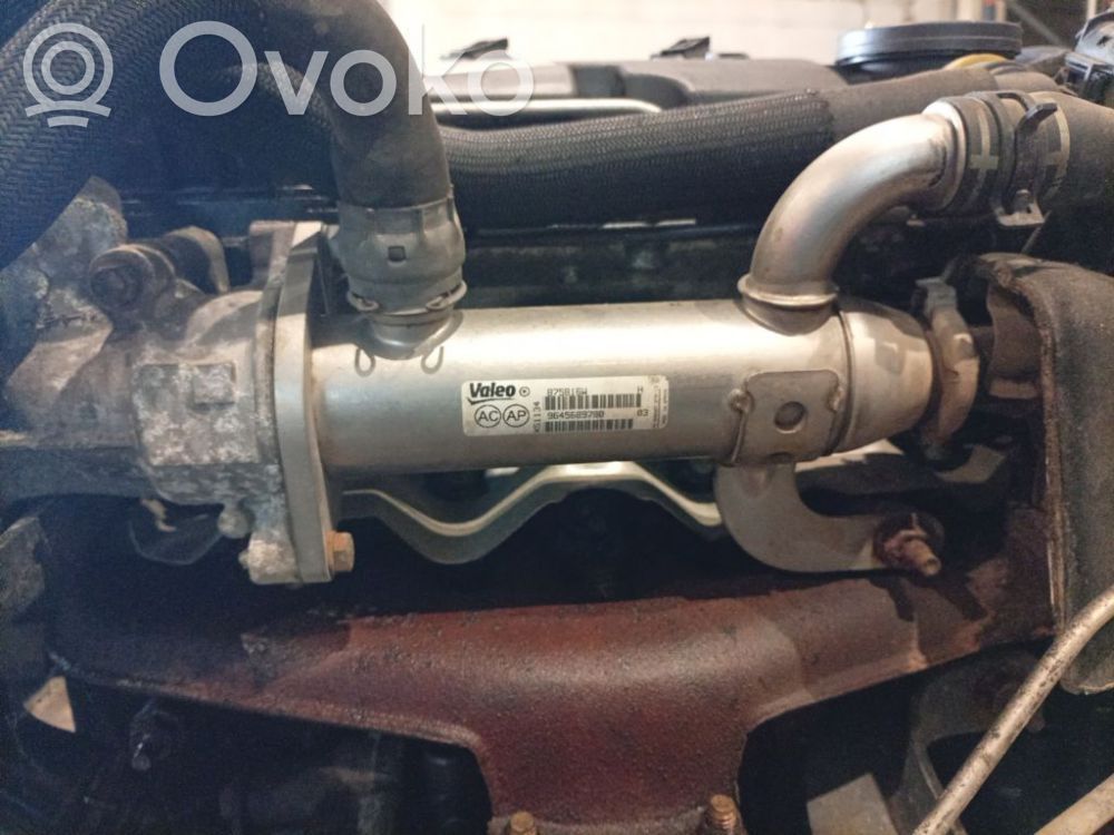 Citroen C4 Grand Picasso Valvola di raffreddamento EGR