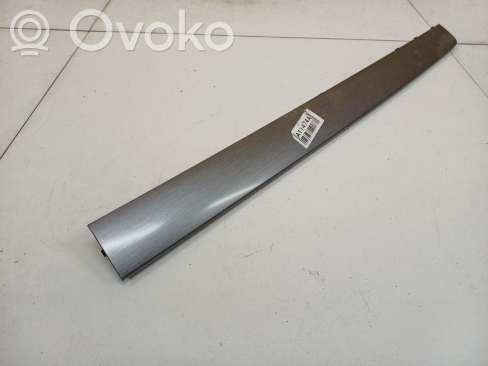 Volkswagen PASSAT B7 Ornament bord