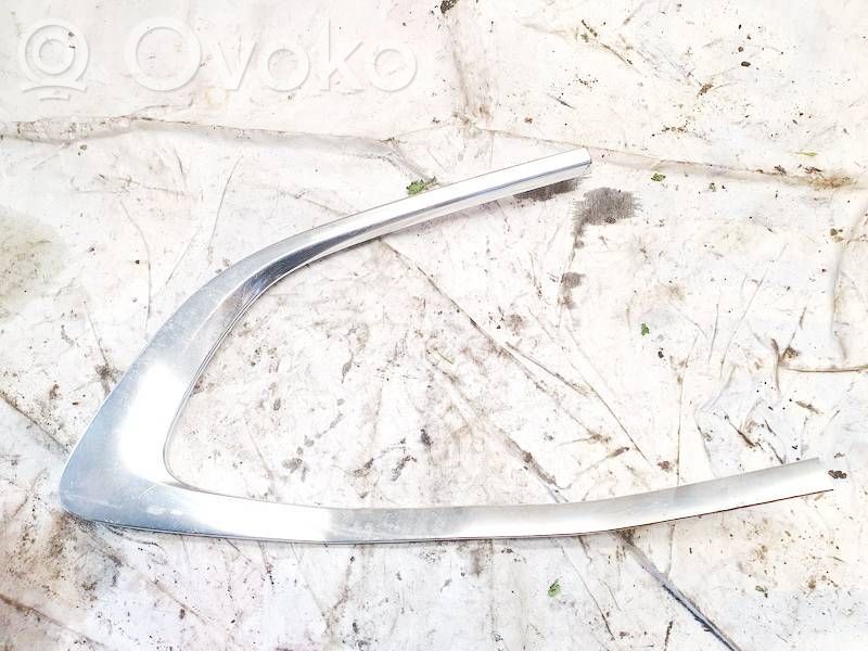 BMW 5 F10 F11 Alte componente panou ușă spate 