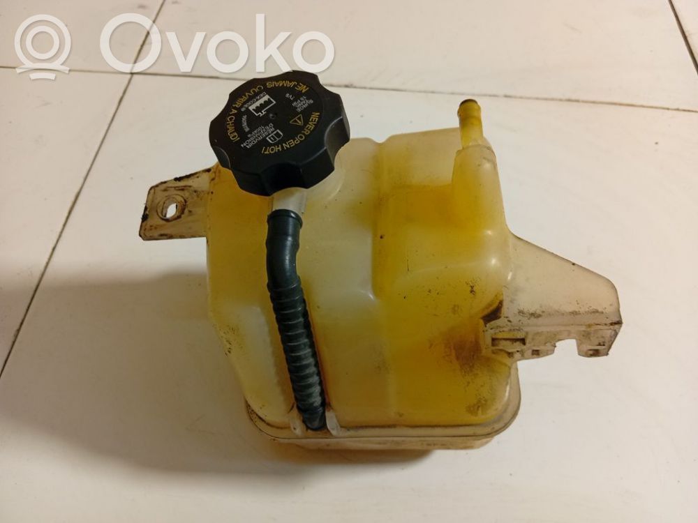 Opel Antara Serbatoio di compensazione del liquido refrigerante/vaschetta 