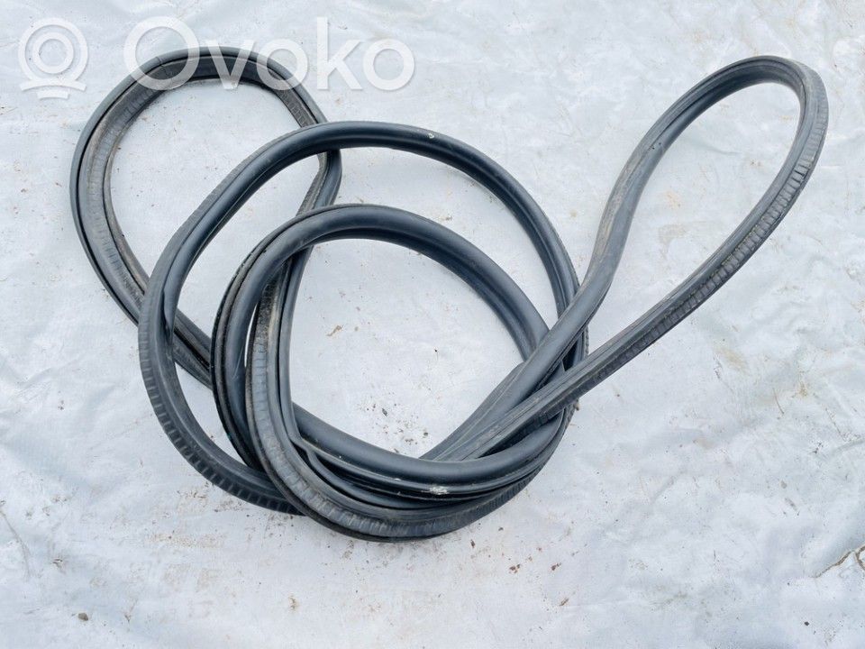 BMW 5 F10 F11 Gummidichtung Tür hinten 