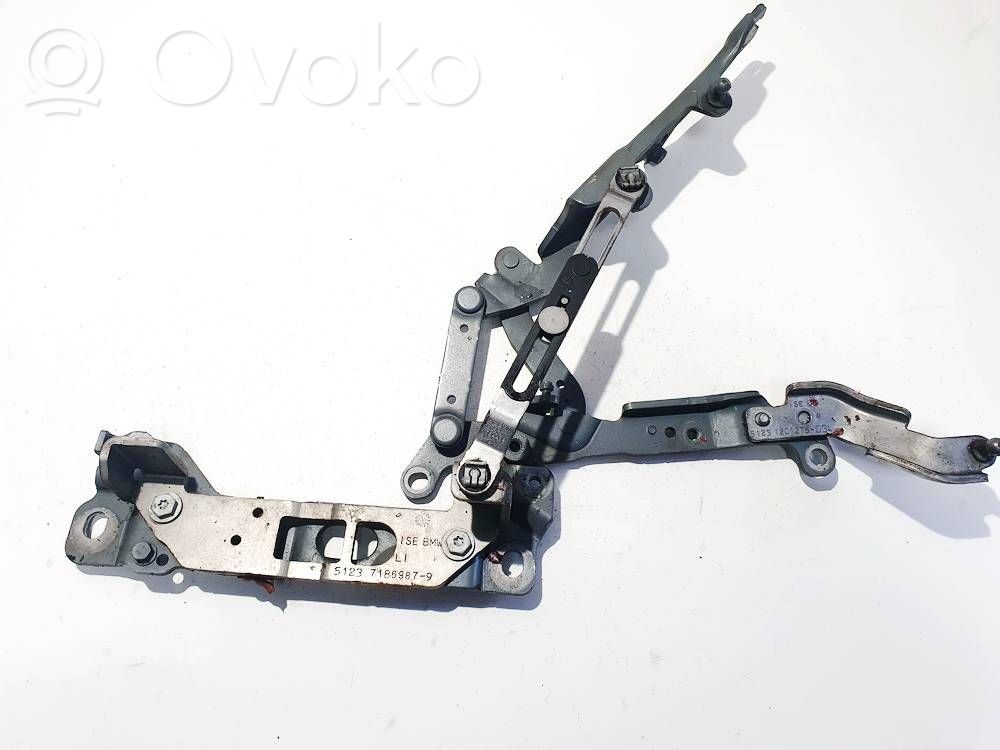 BMW 5 GT F07 Cerniere del vano motore/cofano 