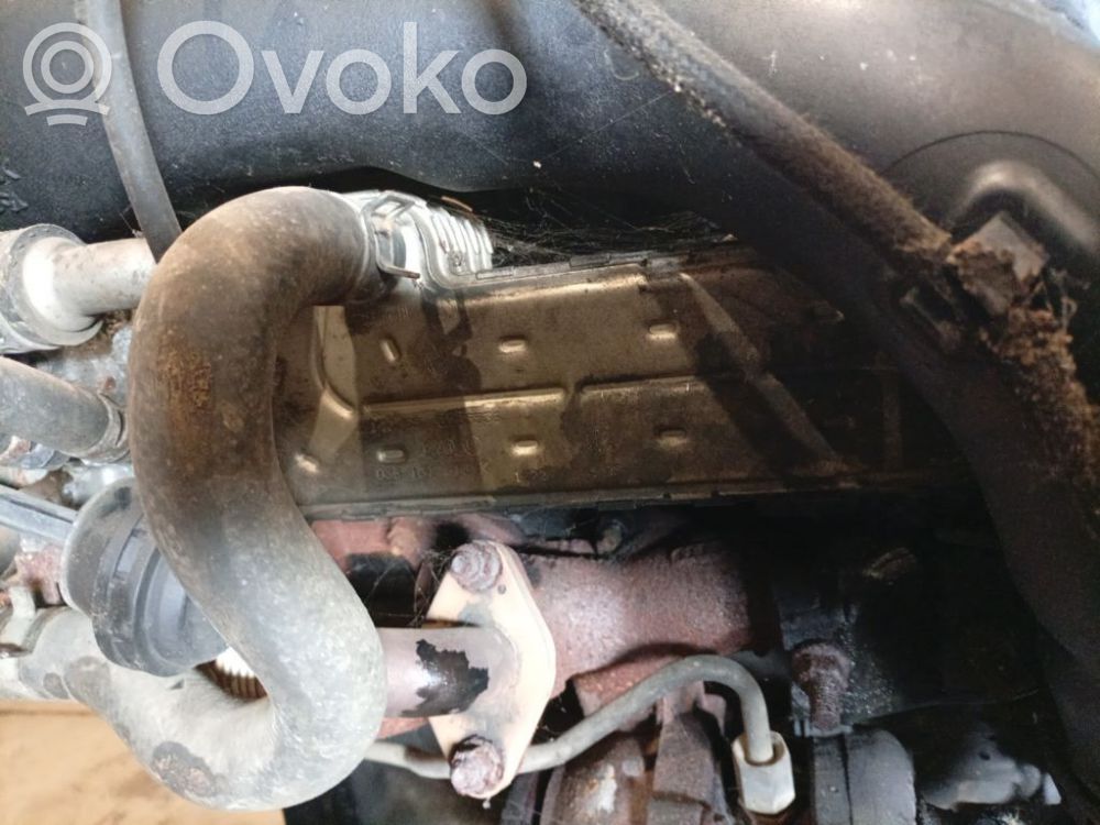 Mitsubishi Grandis Răcitor supapă EGR 