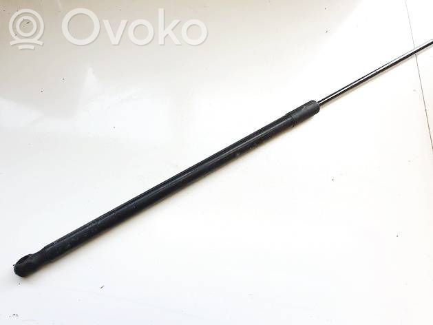 Volkswagen PASSAT B7 Ammortizzatore portellone anteriore/cofano