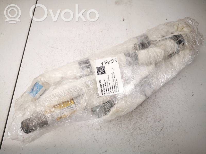 Ford Focus Airbag de toit