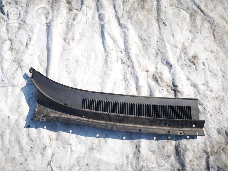 Hyundai Santa Fe Apărătoare ștergătoare