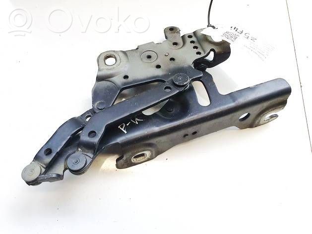 BMW 3 F30 F35 F31 Cerniere del vano motore/cofano