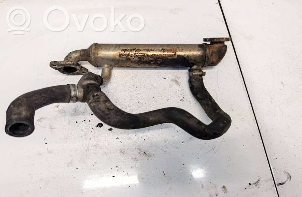 Volkswagen Crafter Răcitor supapă EGR 