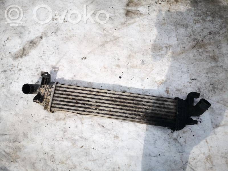 Volvo V50 Radiatore intercooler