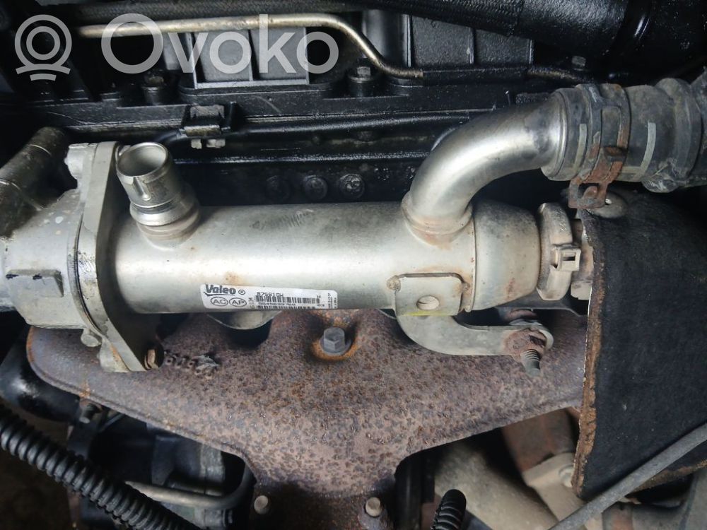 Peugeot 407 Răcitor supapă EGR 