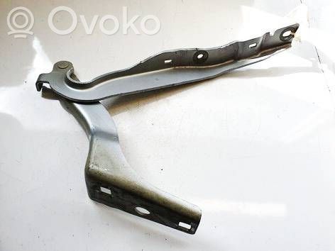 Peugeot 308 Balamale capotă 