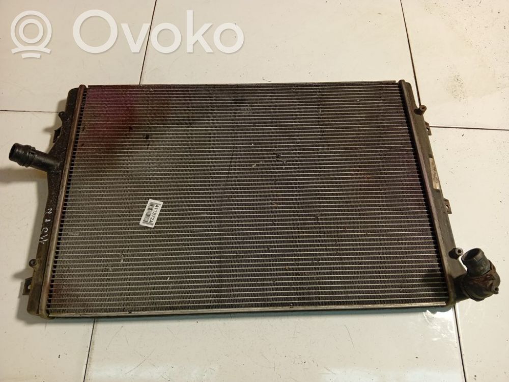 Volkswagen PASSAT B6 Radiatore di raffreddamento