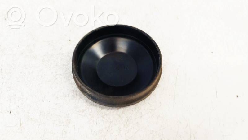 Ford S-MAX Parapolvere per faro/fanale 