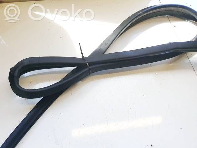 Hyundai Matrix Gummidichtung Tür hinten 