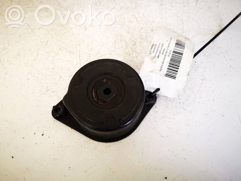 BMW 5 E39 Întinzător curea generator/alternator