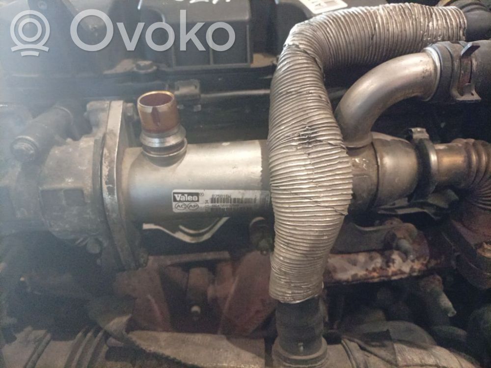 Volvo V50 Refroidisseur de vanne EGR 