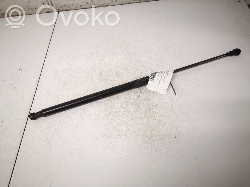 Tesla Model S Tailgate/trunk strut/damper