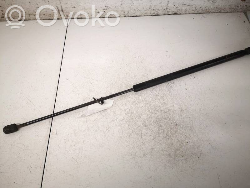 Mercedes-Benz SLK R171 Amortiguador/puntal del capó/tapa delantero