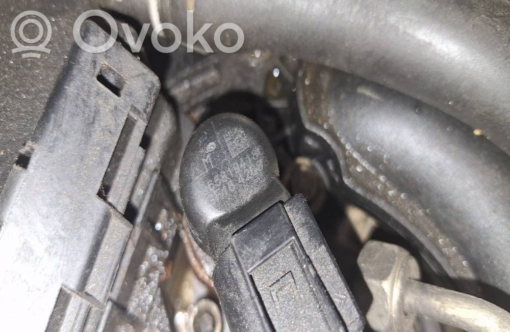 Citroen C4 I Picasso Iniettore