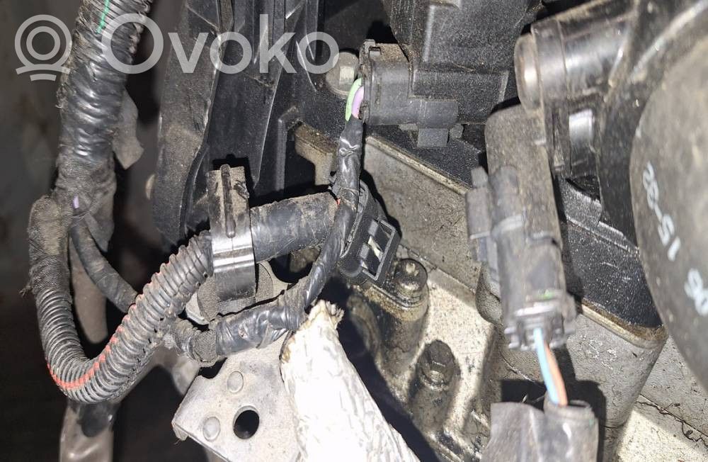 Citroen C3 Valvola a farfalla