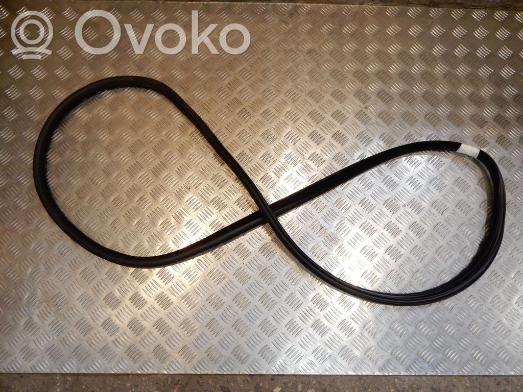 Gumowa uszczelka drzwi tylnych / na karoserii   REARLEFTDOORRUBBERSEAL,32448