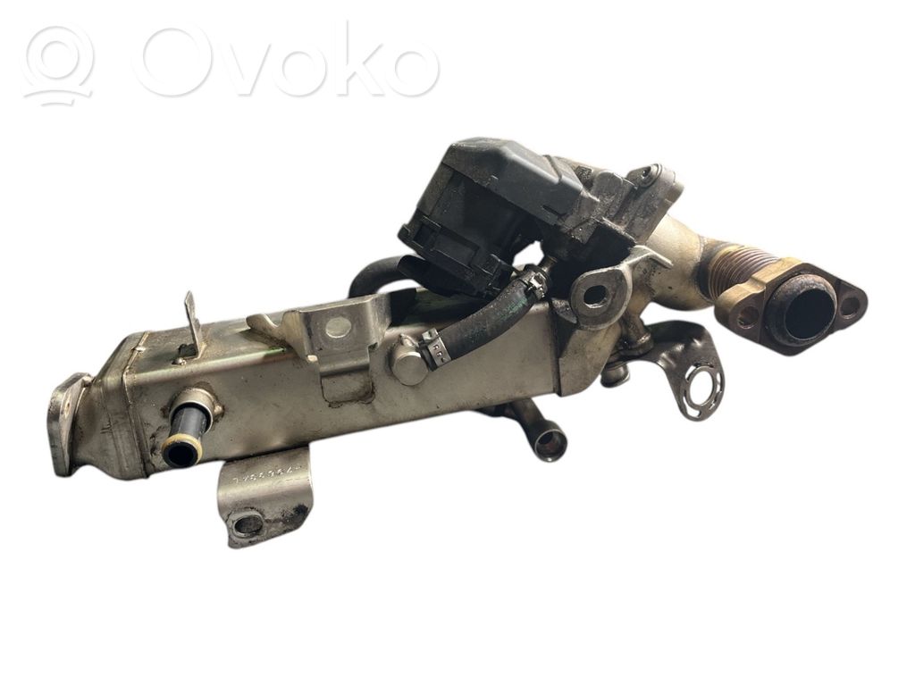 BMW 5 F10 F11 EGR dzesētājs 