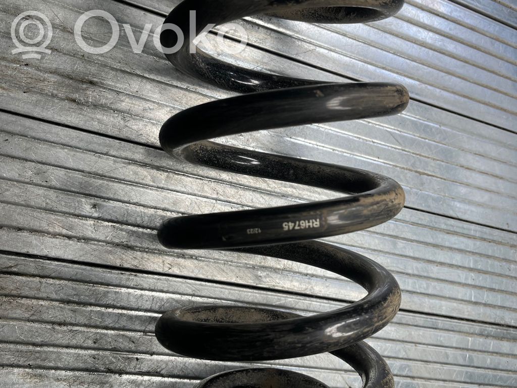 Audi A6 S6 C6 4F Arc elicoidal spate 
