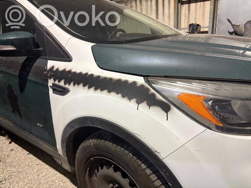 Ford Kuga I Priekinė arka 