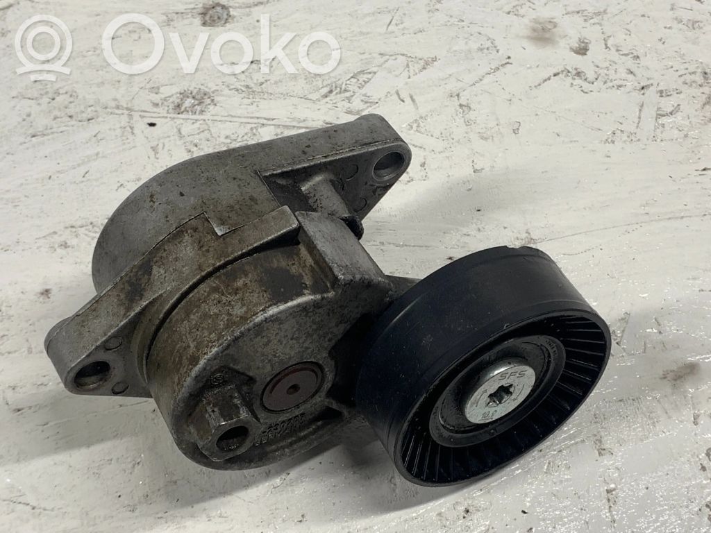 BMW 3 E46 Ģeneratora siksnas spriegotājs 