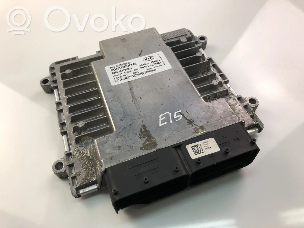 Galios (ECU) modulis   391602EKM1,391612EKM1