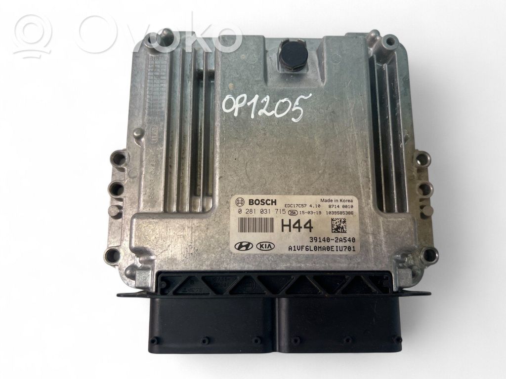Engine control unit/module ECU   391402A540,0281031715