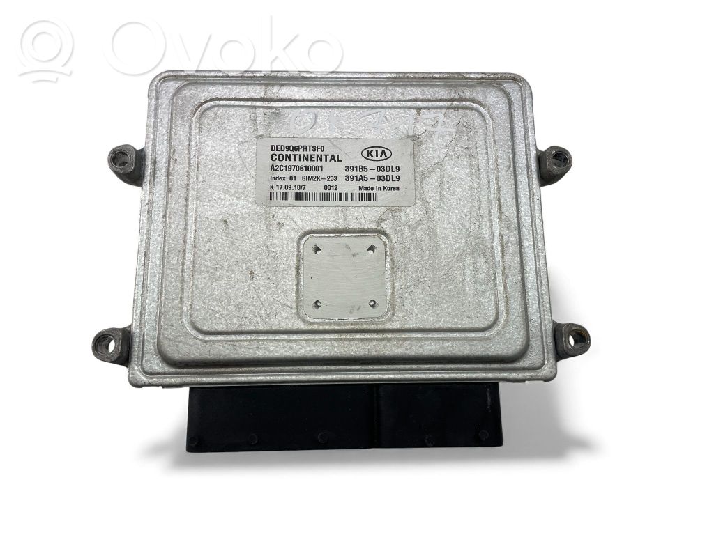 Engine control unit/module ECU   391B503DL9,391A503DL9