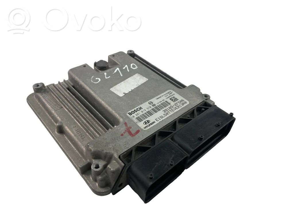 Engine control unit/module ECU   391032F506,0281019910