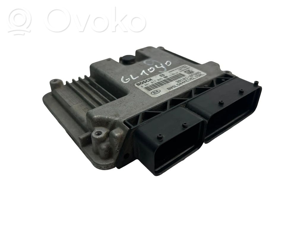 Engine control unit/module   391012F565,0281017045