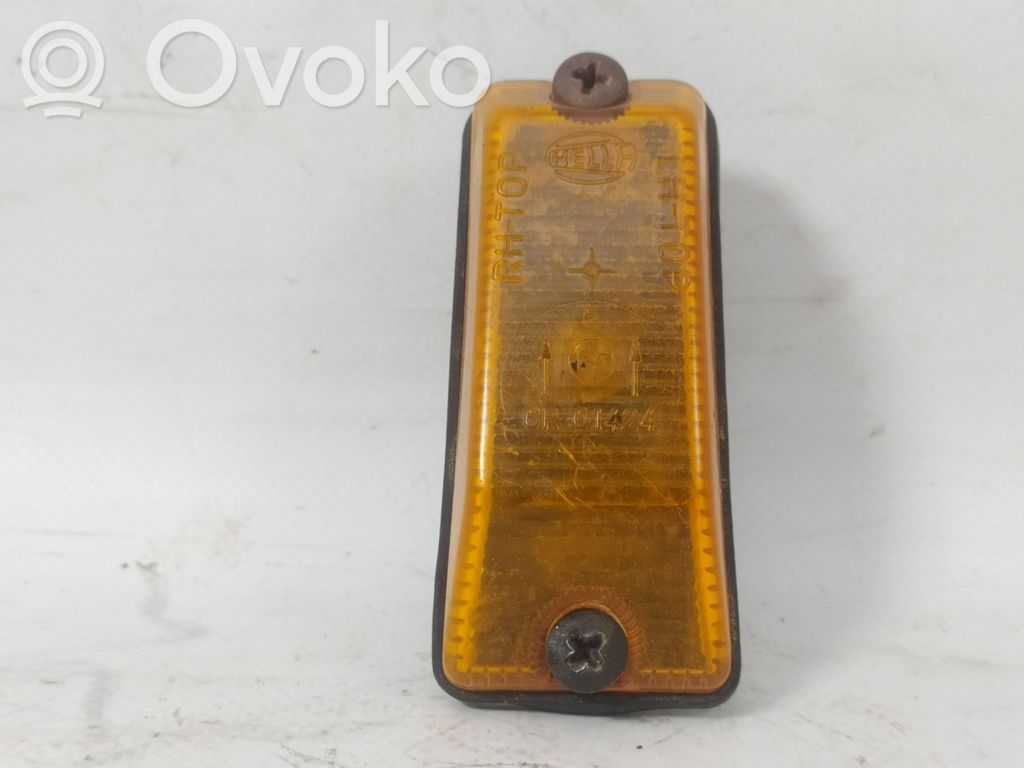 Seitenblinker   A2810881