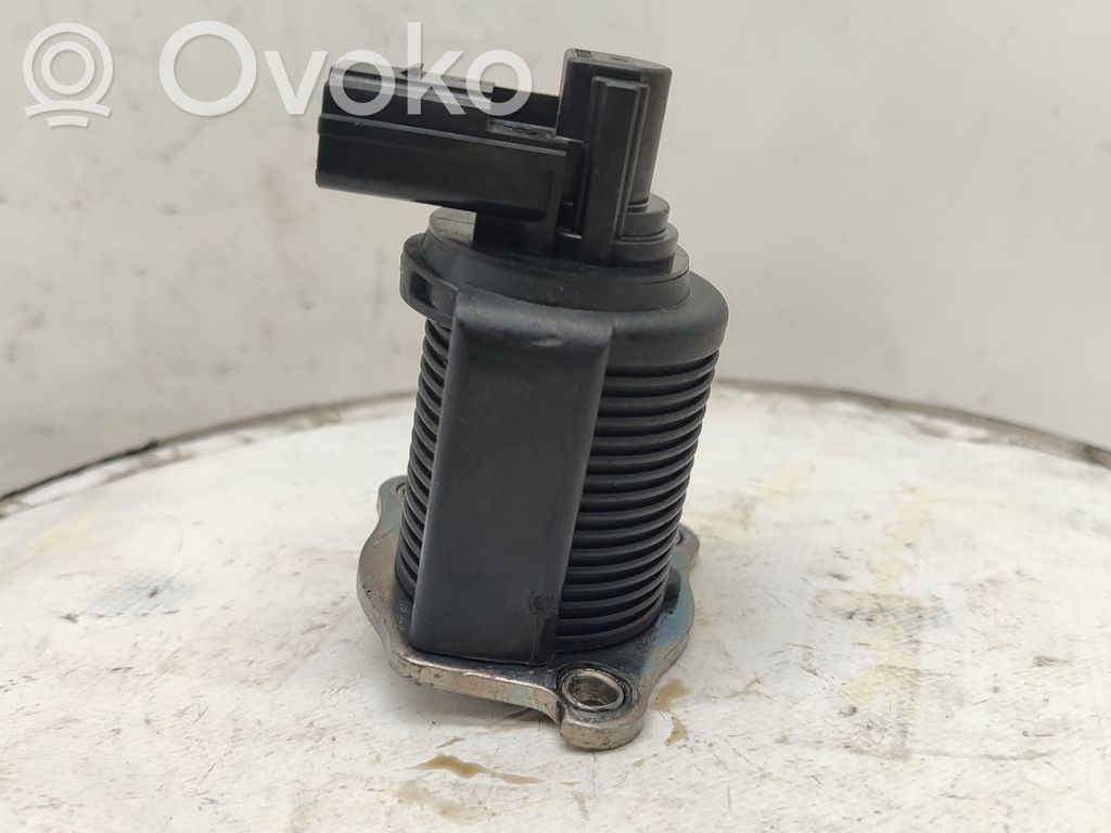 Válvula EGR   722818580