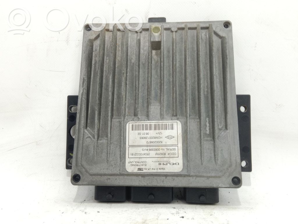 Puerta trasera   8200206670,8200206670