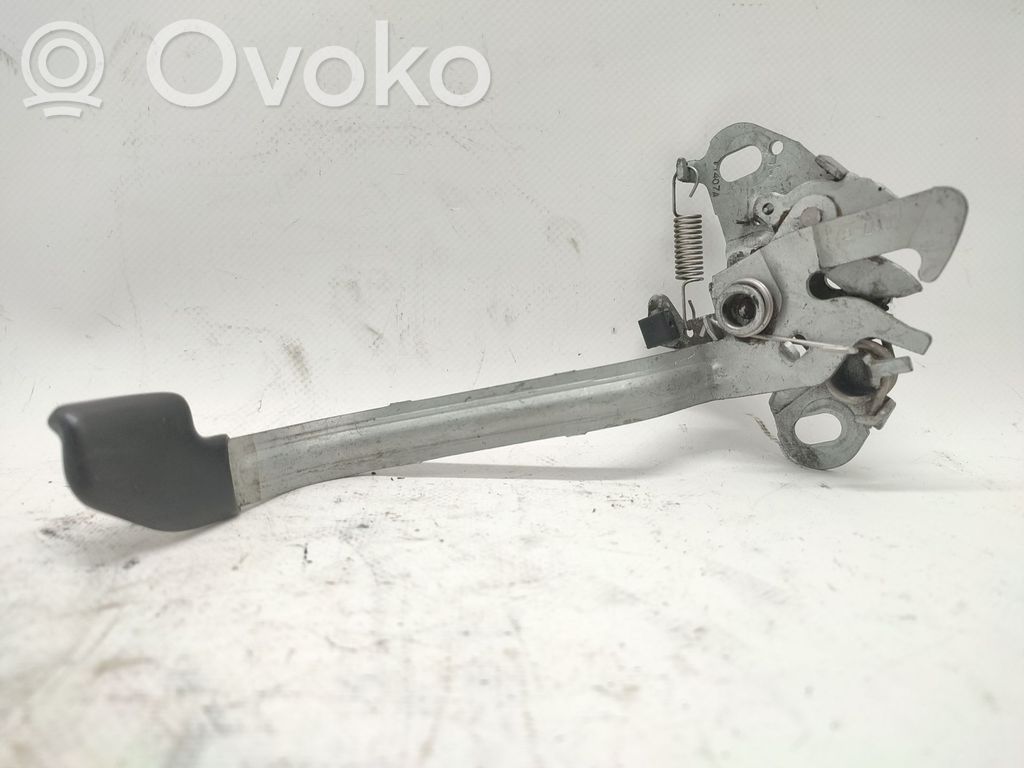Tie down hook / loop   793455