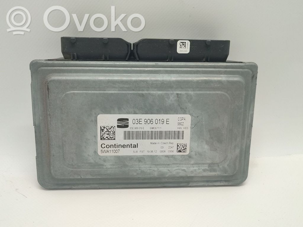 Seat Ibiza IV (6J,6P) Tür hinten